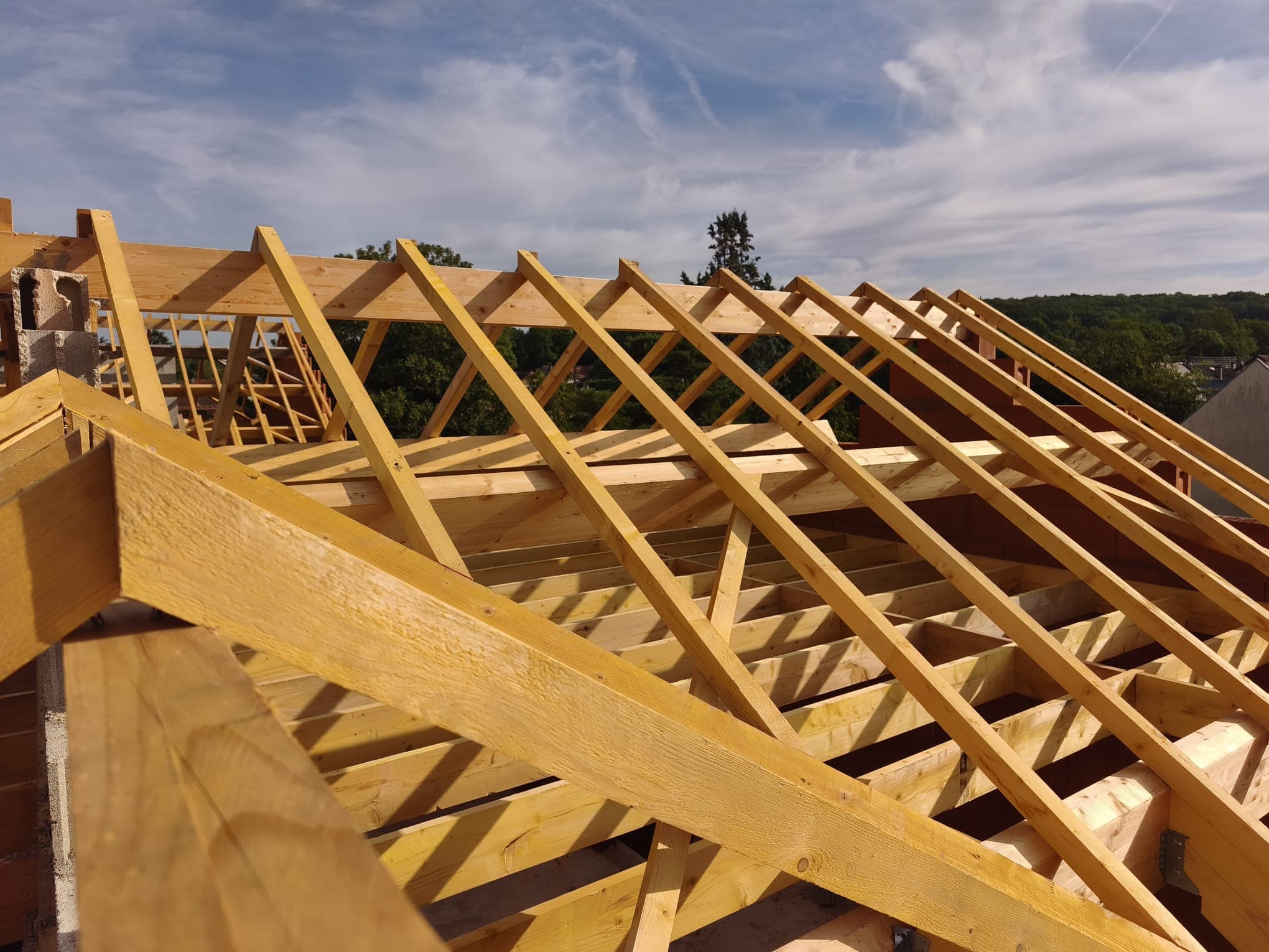 Obra gruesa: albañilería y estructura de cubierta